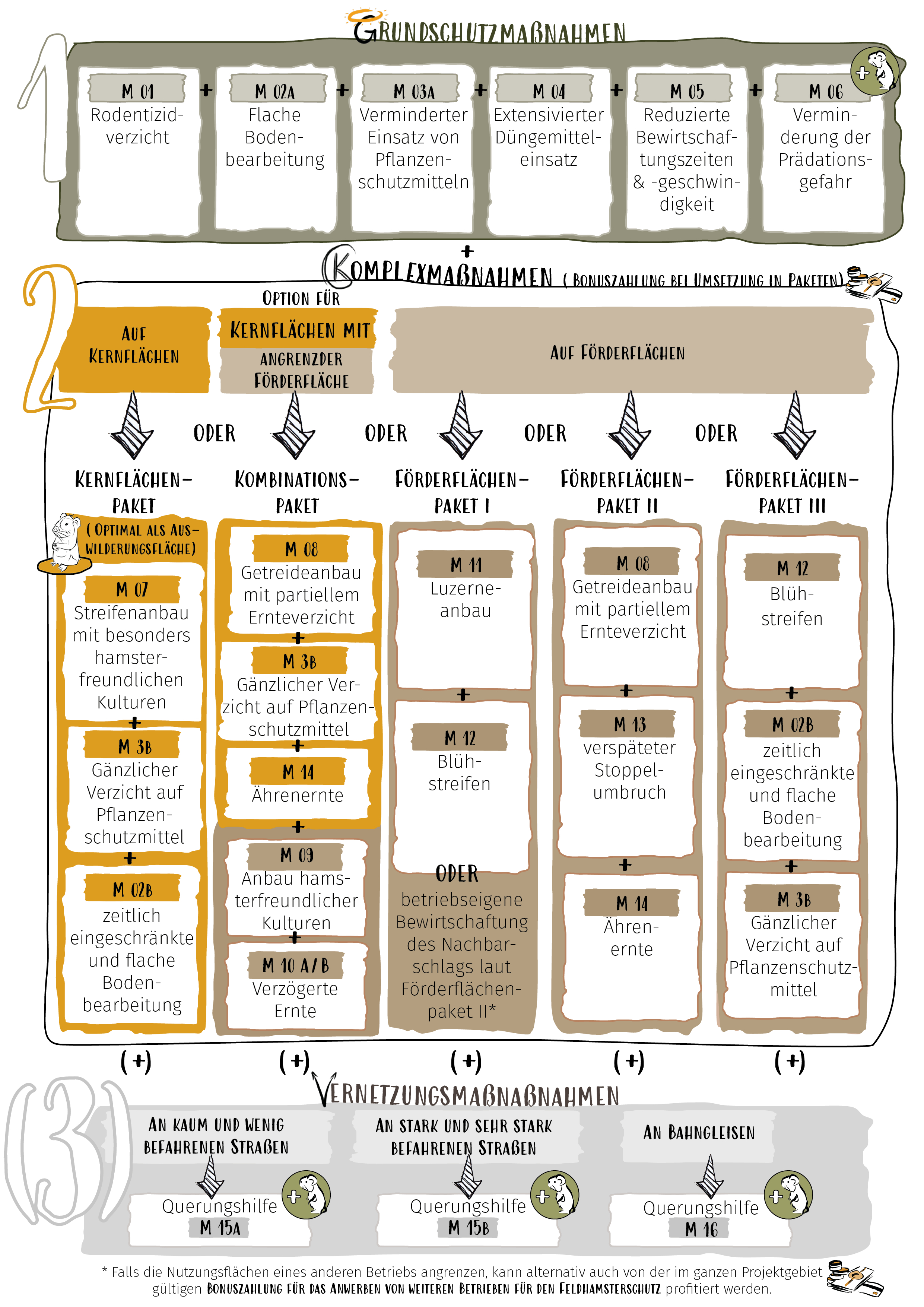 In einer Übersicht werden in drei Blöcken die Grundschutz-, Komplex- und Vernetzungsmaßnahmen mit Bezeichnung und Nummer dargestellt. Die Komplexmaßnahmen sind auf Kern- oder Förderflächen durchführbar und in einem Kernflächen- oder Kombinationspaket oder in drei Förderflächenpaketen zusammengeführt.